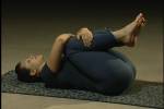 Fanny and the Assets 4 exercise DVD